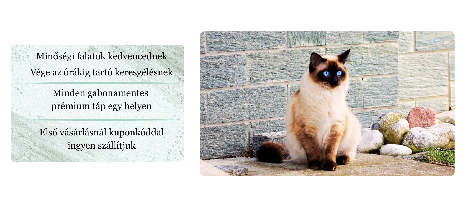 Kezdőlap