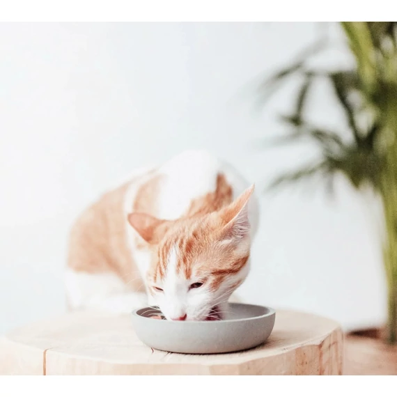 bambuszmacskatal/tobbszinu