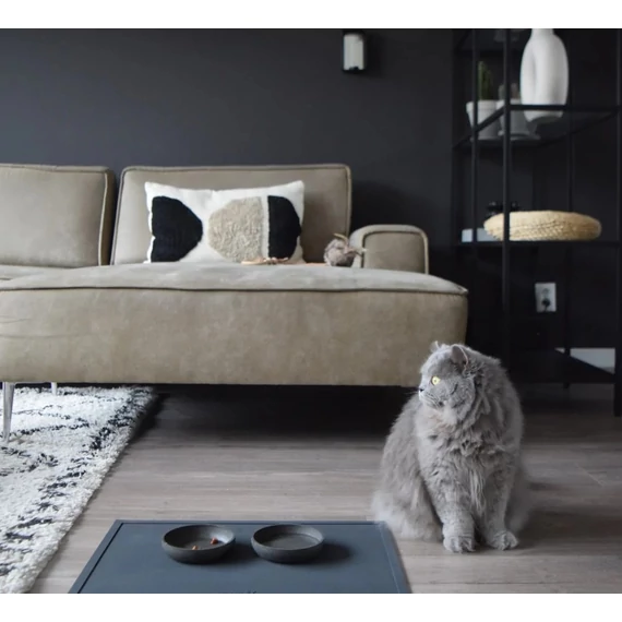 bambuszmacskatal/hasznalat